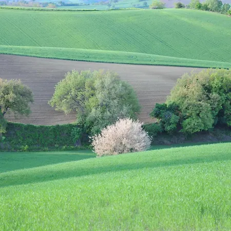 Solea Relais Di Charme- Adults Only Landhaus Trecastelli