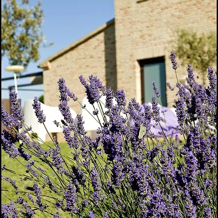 Solea Relais Di Charme- Adults Only * Trecastelli