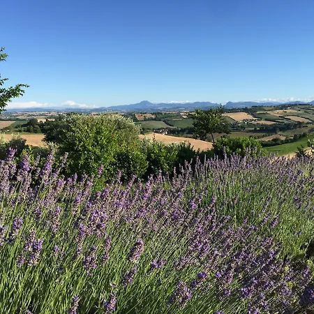 Solea Relais Di Charme- Adults Only Venkovský dům Trecastelli